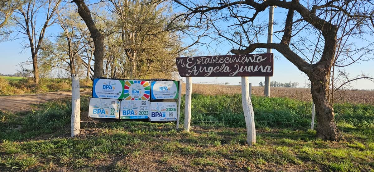 Eficiencia, bienestar animal y una meta de mil vacas lecheras: Valentín Torre apuesta a crecer sin apurarse y “con los pies en la tierra”