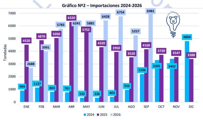 En sólo 9 meses, ya se importó la misma cantidad de carne porcina que en todo 2025: El consultor Juan Uccelli dijo que con lo gastado se podrían haber puesto 24 mil madres en producción