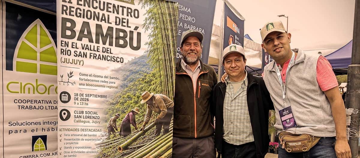 El bambú también busca su espacio en medio de las Yungas jujeñas. “Estamos trabajando para unir a todos los actores y darle el lugar que se merece”, dice el arquitecto Joaquin Trillo, de la cooperativa Cimbra