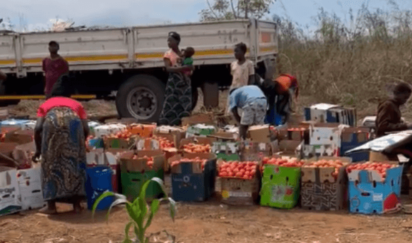“Aún en la adversidad, la gente es muy alegre, se la pasan cantando y bailando”: Un equipo del INTA colabora para mejorar la producción de tomate en Mozambique