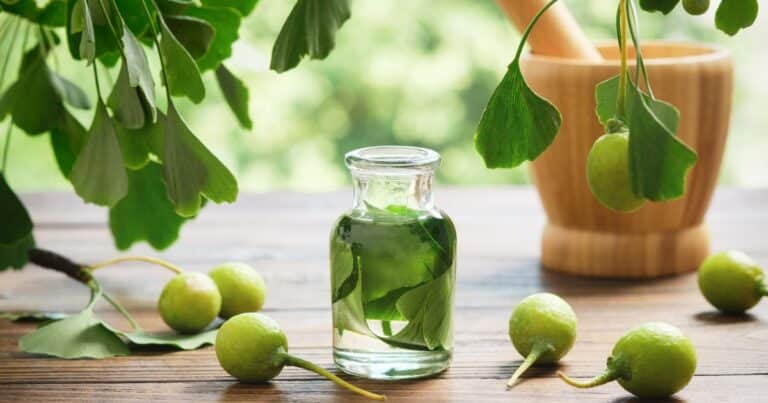 Qué pasa en el cuerpo al tomar Ginkgo biloba todos los días