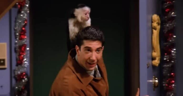 Los animales más icónicos de la televisión de los años 90, ¿Cuáles recordás?