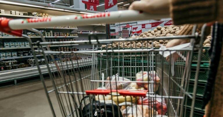 Precios de alimentos: cuánto cuesta llenar el changuito en la Argentina comparado a Brasil, Chile y Uruguay