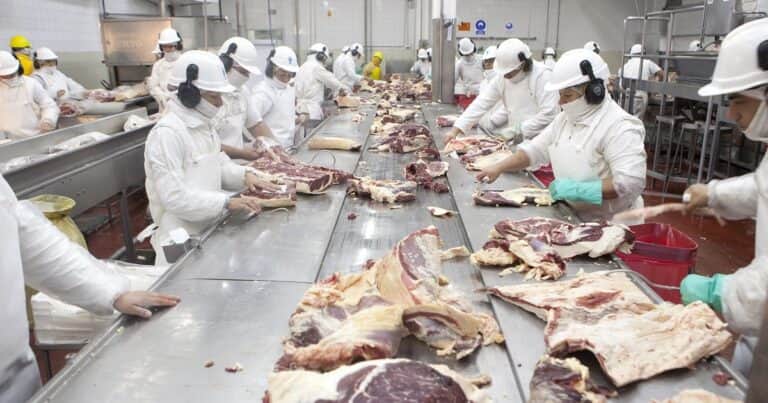 Las exportaciones de carne bovina aumentaron un 15 por ciento en comparación con las de 2023