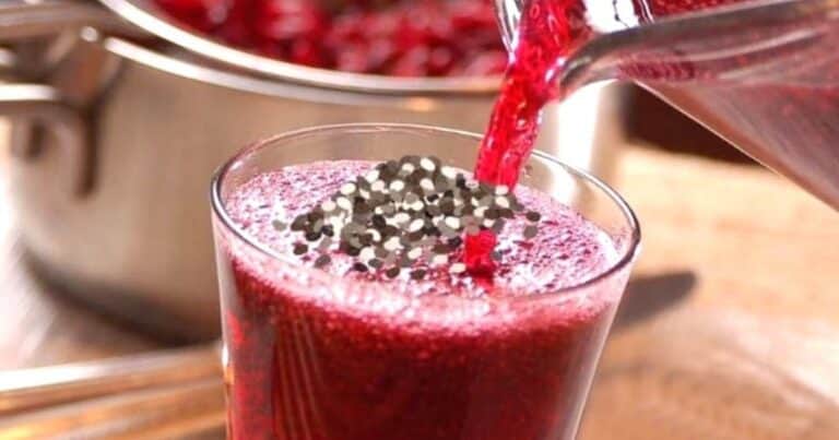 Qué beneficios tiene tomar agua de Jamaica con chía todos los días