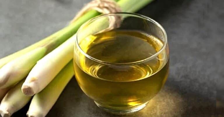Qué pasa en el cuerpo si tomo té de lemongrass todas las noches
