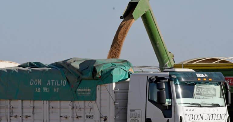 Hace siete años que no ingresaban tantos camiones con trigo a los puertos del Gran Rosario
