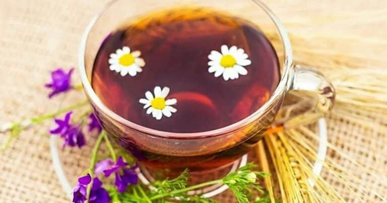 Cuáles son los beneficios de tomar té de lavanda y manzanilla en las noches