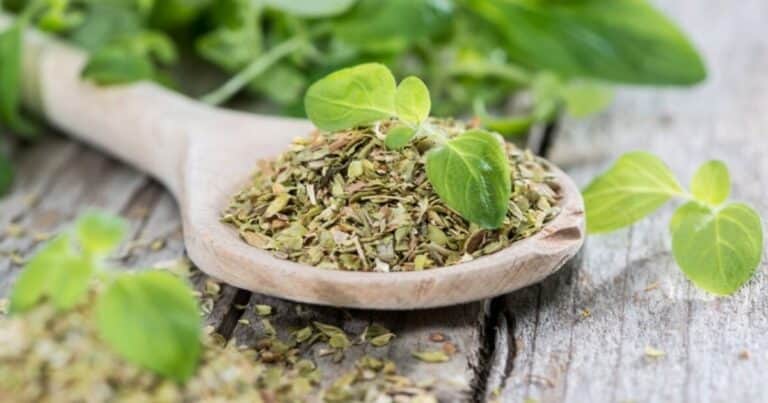 Orégano: propiedades, beneficios y valor nutricional