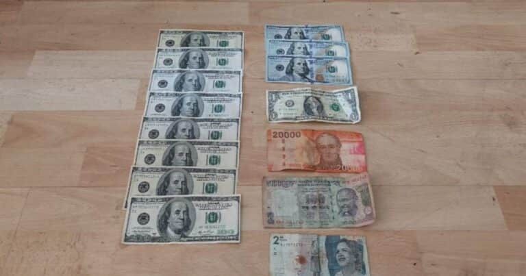Desbaratan una red de falsificadores de dólares que operaba en la Ciudad y el conurbano: 11 detenidos y cuántos billetes truchos tenían