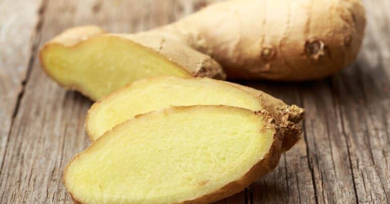 ¿Se puede cultivar jengibre a partir de un trozo de jengibre?