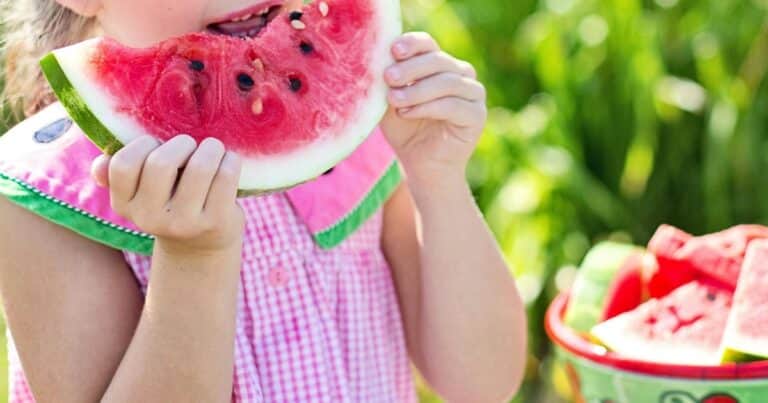 Cuál es la mejor forma de cosechar sandía, según agricultores