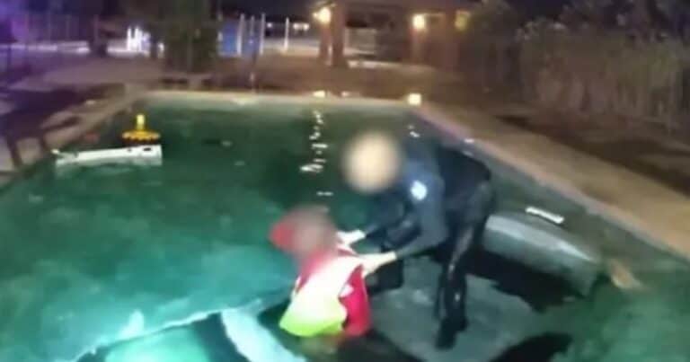 Video dramático: rescatan a un conductor que cayó con su vehículo dentro de una piscina