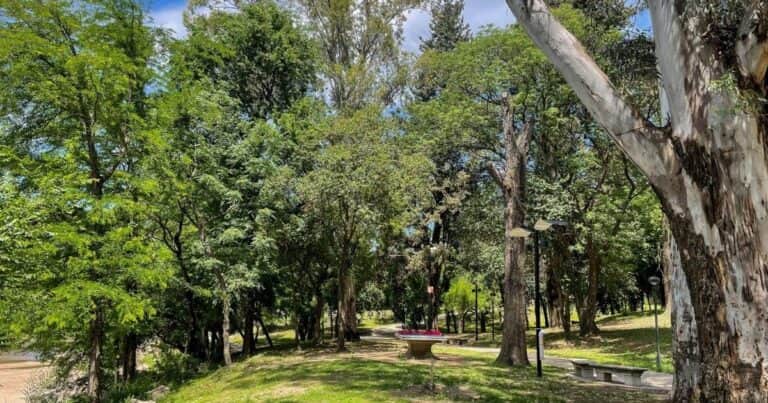 De Carlos Paz a la Alhambra: los Bosques de la Poesía argentinos se expanden por el mundo