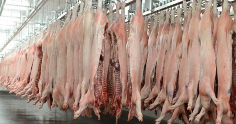 Un sector muestra signos de recuperación en los precios y en la producción y podría cerrar un año récord
