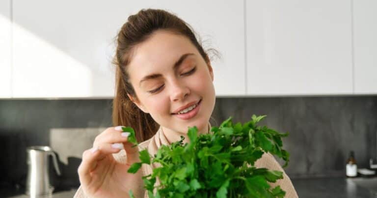 ¿Qué época es la mejor para sembrar cilantro?