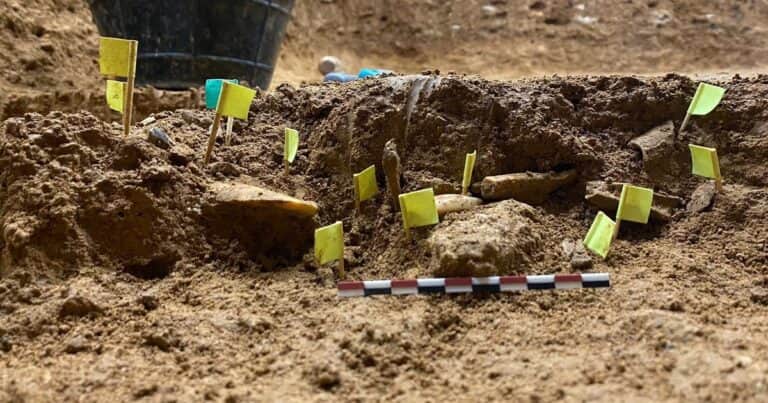 ¿Fueron los neandertales de España los primeros coleccionistas de la humanidad?