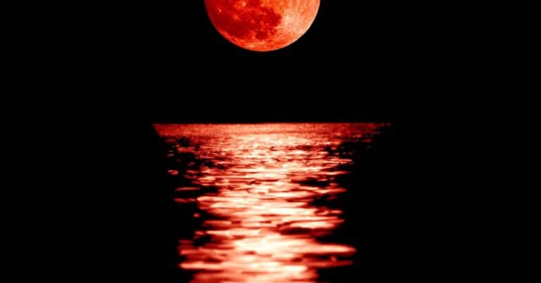Luna llena en Tauro de noviembre 2024: rituales para abrir caminos y alejar gente tóxica