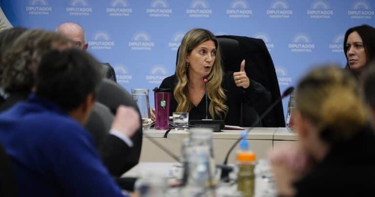 Tras la condena a Cristina Kirchner y en tensión por los pedidos de modificaciones, Diputados buscará aprobar la Ficha Limpia
