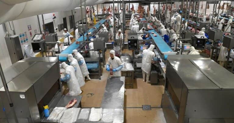 Festeja el Gobierno de Javier Milei: las exportaciones de carne son las más altas en 57 años