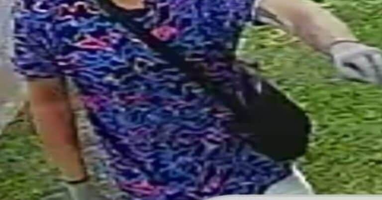 Robaba con guantes para la construcción y asesinó a un policía: quién era el ladrón que murió en un tiroteo cerca de un shopping