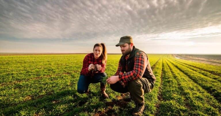 Desafío generacional: cómo atraer y retener a los centennials en las empresas del agro