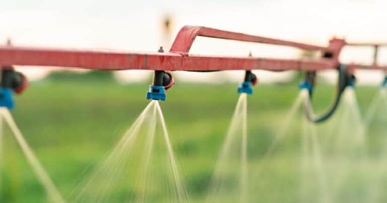 «Una locura»: una nueva ley de agroquímicos en La Pampa dejaría pérdidas de casi $300.000 millones