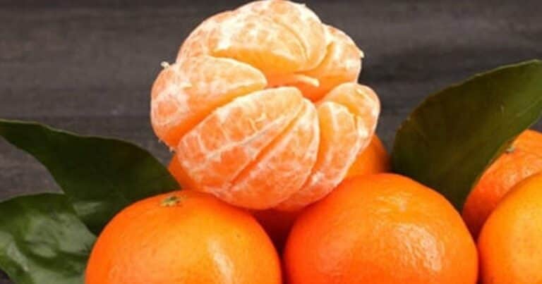 Qué son los hilos blancos de la mandarina y por qué no se deben quitar