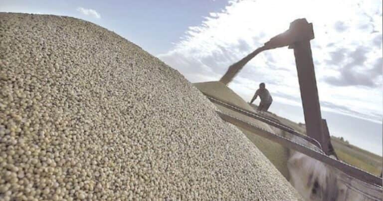 «Tasa portuaria»: productores aseguran que el puerto de Quequén es más caro que el de Bahía Blanca tras la aprobación de un nuevo impuesto