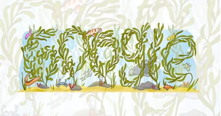 Google celebra con un nuevo doodle el bosque de algas gigantes en Australia