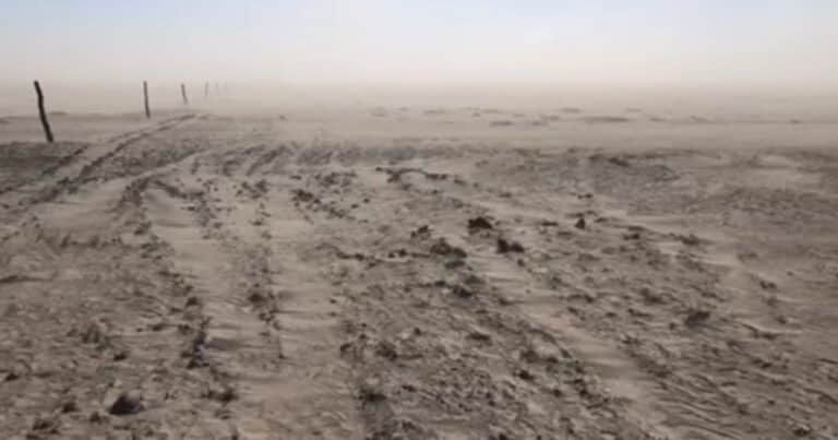¿Viene o no viene La Niña?: las probabilidades varían entre el 72% y el 41% y en el campo reina la incertidumbre