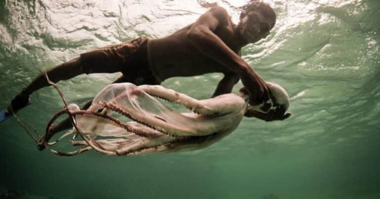 Cómo se llama y cuál es la exótica tribu que se adaptó a vivir bajo el agua