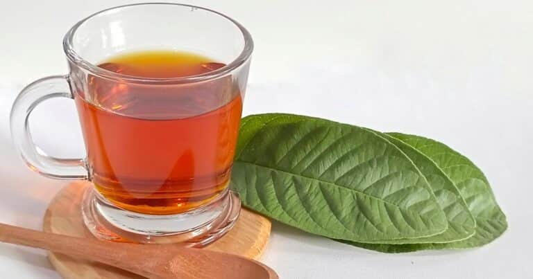 Cuáles son los beneficios de beber té de guayaba con canela todos los días