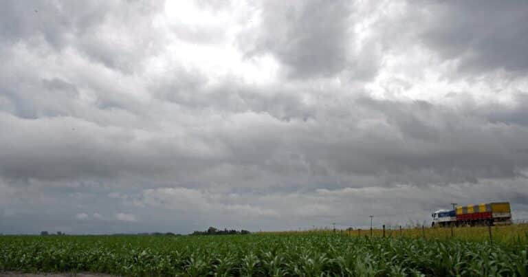 ¿Se viene La Niña?: el pronóstico climático para el verano, según el Servicio Meteorológico Nacional