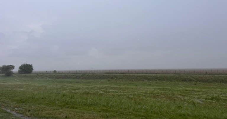 Las lluvias del fin de semana: alivio para una de las principales zonas agrícolas del país