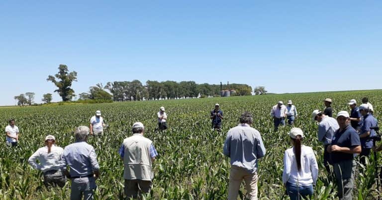 A pesar de las dudas del presente, hay buenas expectativas en el sector agropecuario