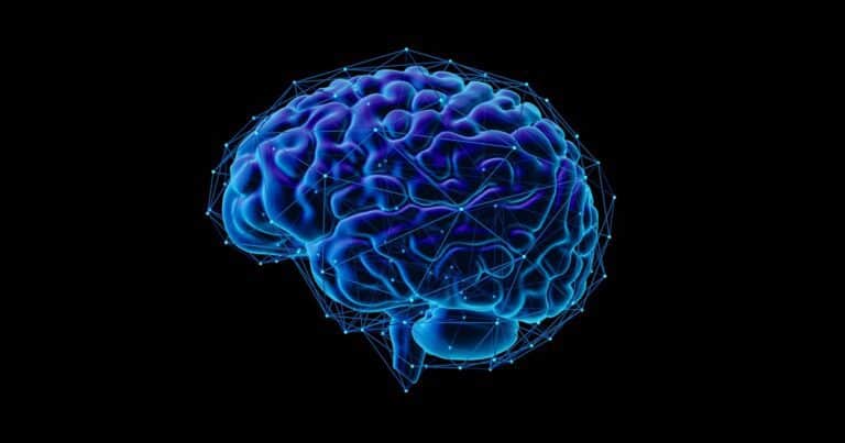 Científicos logran convertir pensamientos en figuras geométricas: la nueva frontera en la representación cerebral
