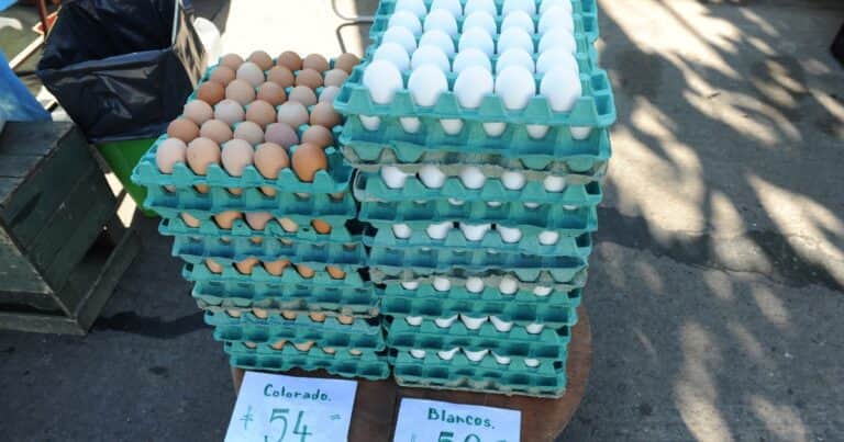 «Peligro sanitario»: preocupación por el contrabando de huevos desde el norte del país