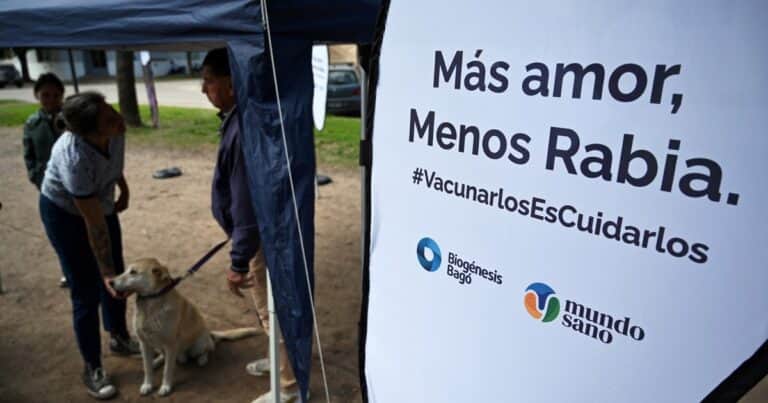 Biogénesis Bagó cierra 2024 expandiendo desde Argentina su capacidad de contribuir a la salud animal en el mundo