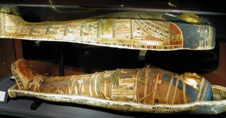 Descubren en una momia el origen de una terrible enfermedad que mató a más de 50 millones de personas
