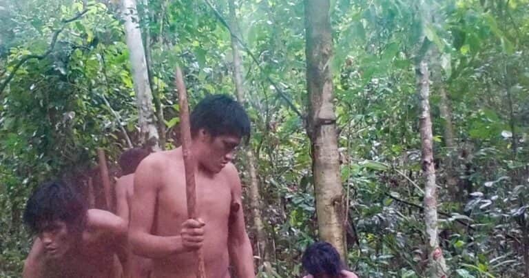 Imágenes sorprendentes: captan una tribu de Brasil nunca antes vista