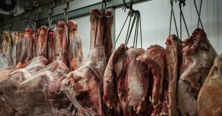 ¿Se frena la suba de la hacienda en Brasil?