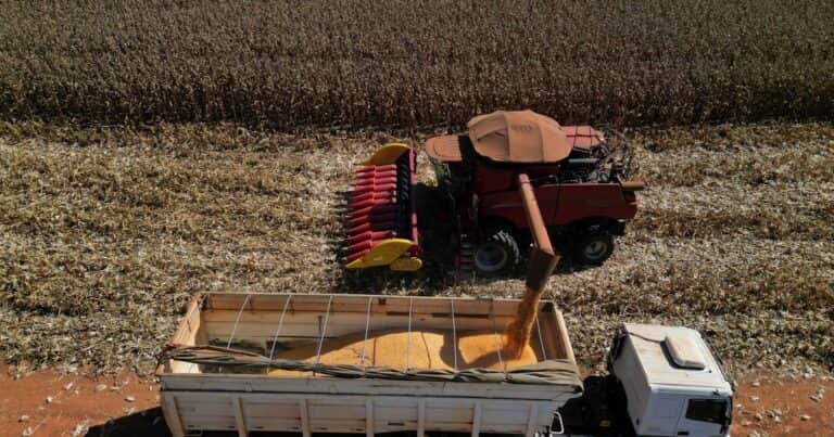 Aumentó desde que asumió Javier Milei: el Estado se queda con el 64,3% de la renta de los productores