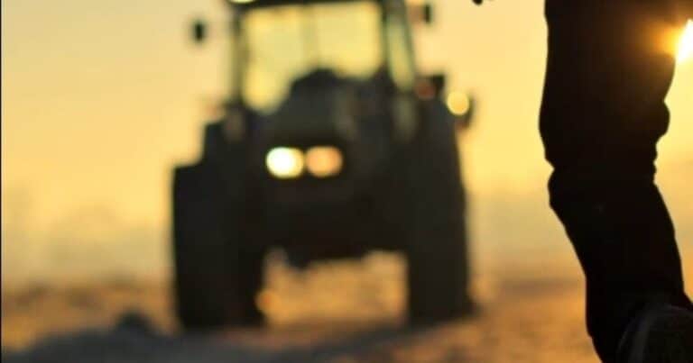 Apuesta por Javier Milei: el 82% de los productores cree que la situación económica será mejor en 2025