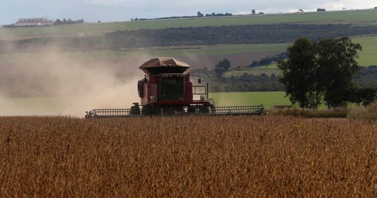 Brasil es el eje de la seguridad alimentaria del planeta