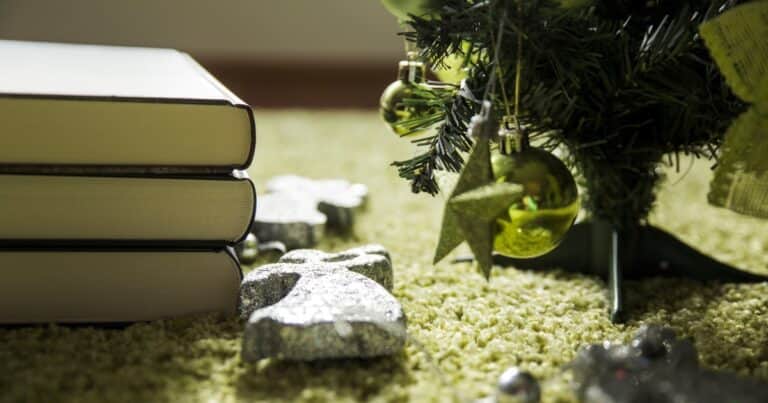 Los mejores libros para regalar en Navidad: 30 títulos por menos de $20.000