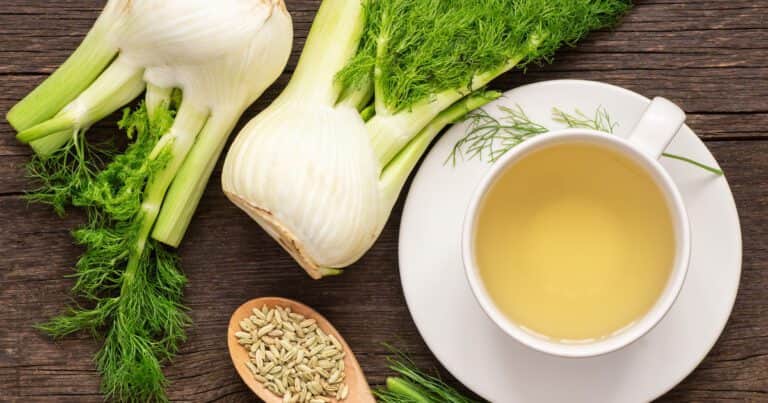 Cómo consumir la infusión de hinojo para adelgazar