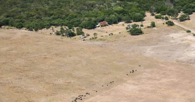 Se intensificó la sequía en el norte de Santa Fe y el Gobierno declaró la emergencia agropecuaria