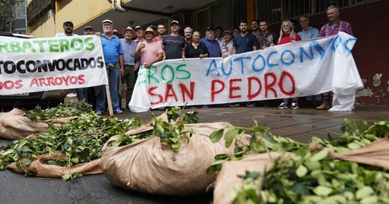 Se agrava la situación de los yerbateros tras la desregulación del mercado y cortan por sexto día una ruta nacional