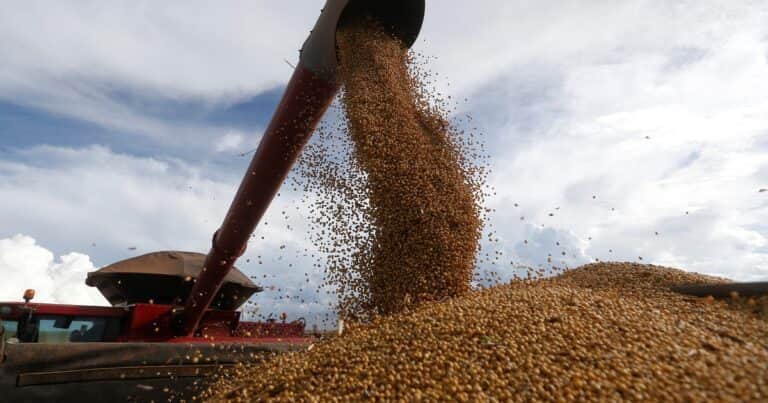 Soja en una encrucijada: biocombustibles e incertidumbre por Estados Unidos-China sacuden los mercados